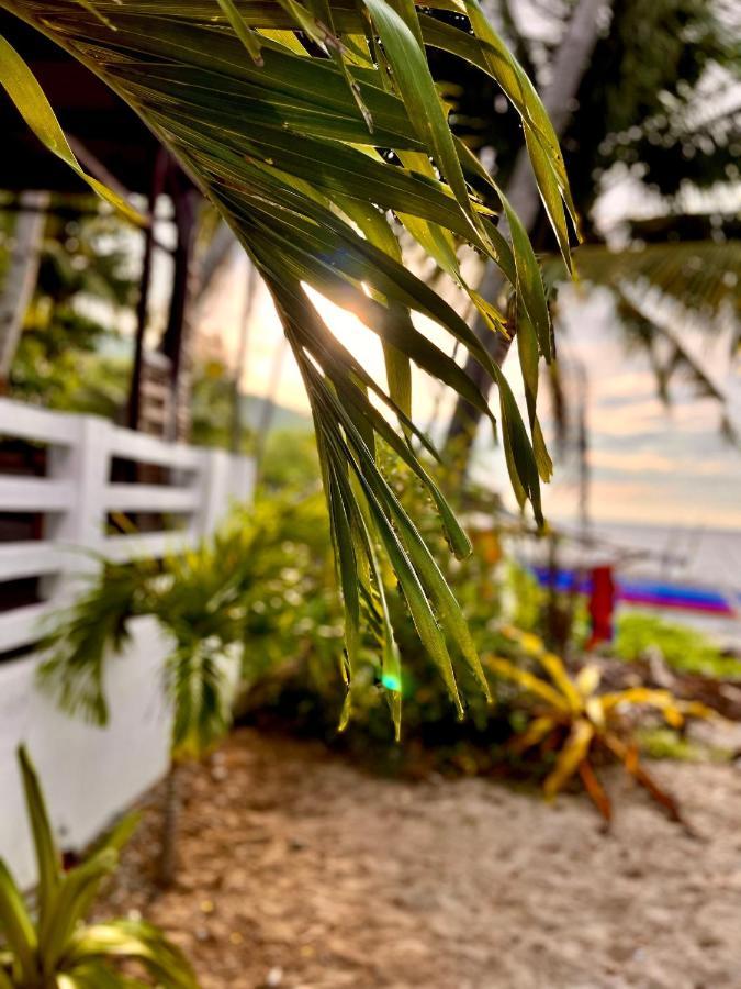 Amami Beachfront Villa With Private Beach Puerto Galera Eksteriør bilde