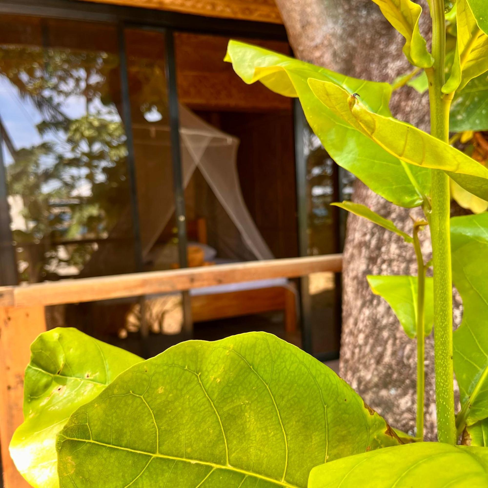 Amami Beachfront Villa With Private Beach Puerto Galera Eksteriør bilde