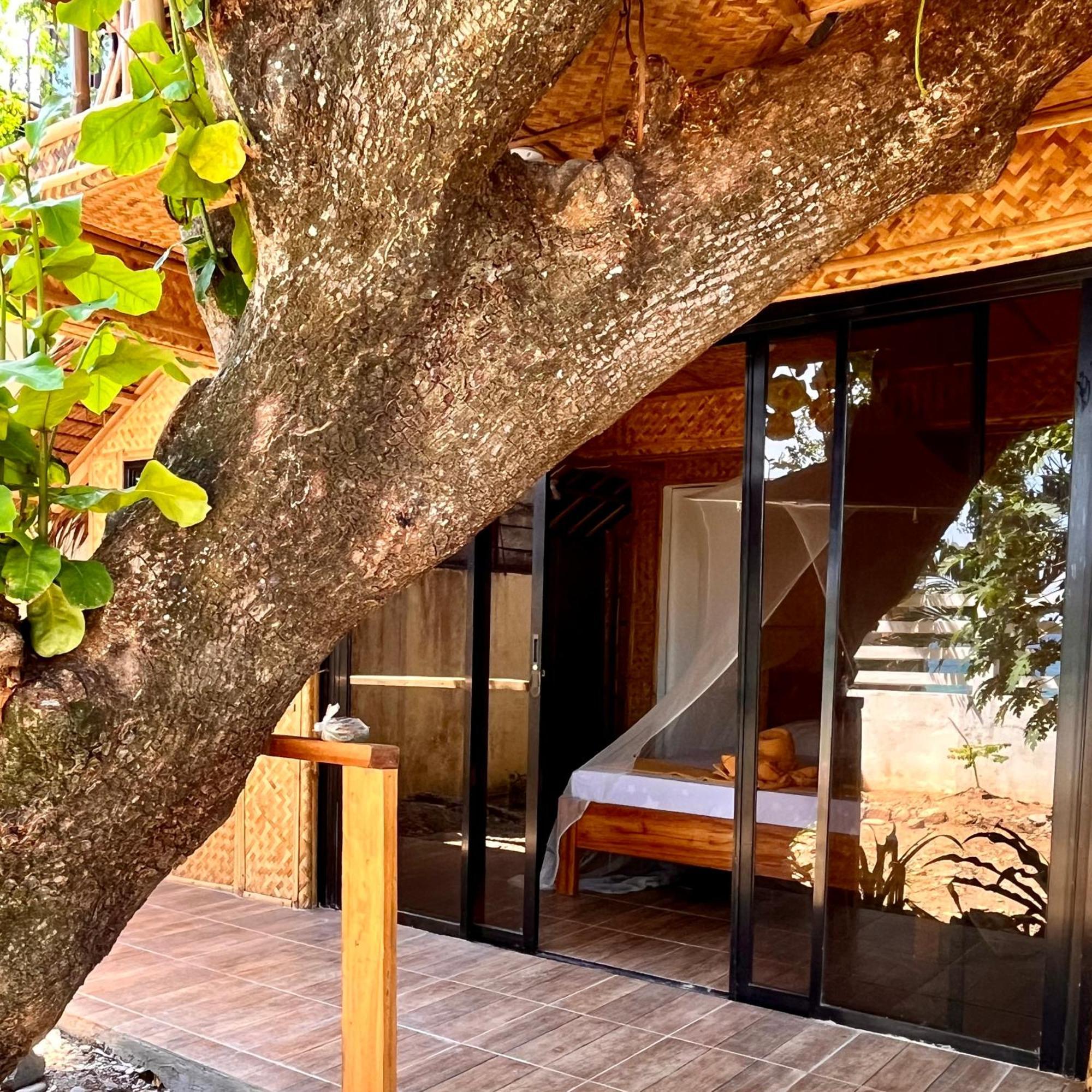 Amami Beachfront Villa With Private Beach Puerto Galera Eksteriør bilde