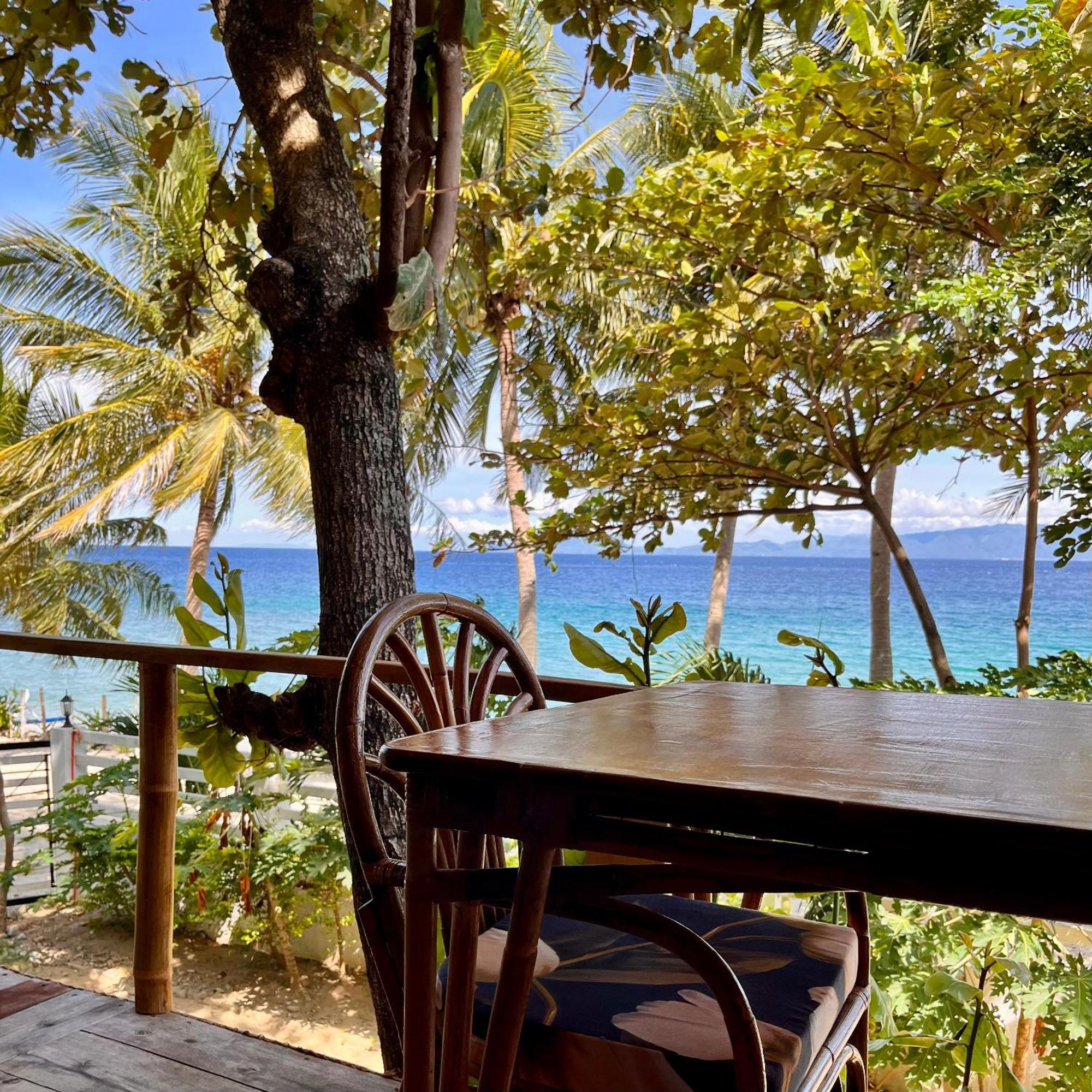 Amami Beachfront Villa With Private Beach Puerto Galera Eksteriør bilde